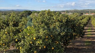 Land for sale in Silves, Portugal — €115,600