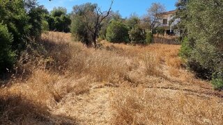 Land for sale in São Brás de Alportel, Portugal — €160,000