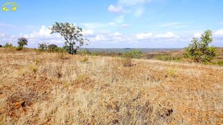 Land for sale in Castro Marim, Portugal — €28,800
