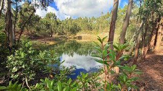 Land for sale in Monchique, Portugal — €150,000