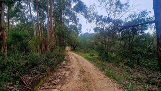 Land for sale in Monchique, Portugal — €160,000