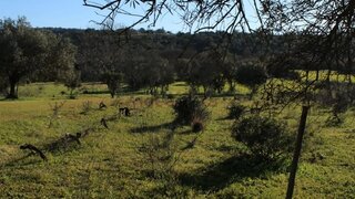 Terreno em Albufeira