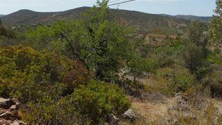 Land for sale in Loulé, Portugal — €25,000