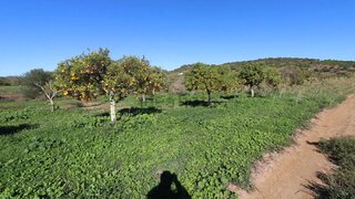 Land for sale in Castro Marim, Portugal — €22,500
