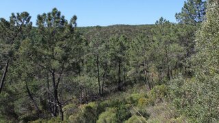 Land for sale in Lagos, Portugal — €350,000