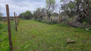 Land for sale in Silves, Portugal — €15,000