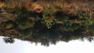 Terreno em Alcoutim