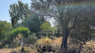 Land for sale in Silves, Portugal — €135,000