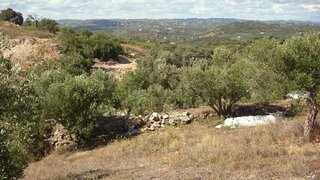 Terreno de 5500 m² em Faro