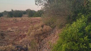 Land for sale in Silves, Portugal — €55,000