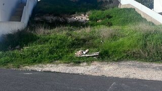 Land for sale in Silves, Portugal — €135,000