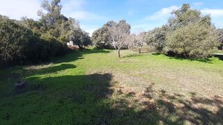 Land for sale in São Brás de Alportel, Portugal — €70,000