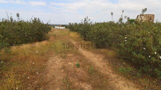 Land for sale in Castro Marim, Portugal — €250,000