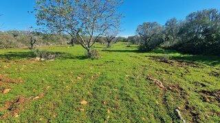 Land for sale in Loulé, Portugal — €60,000