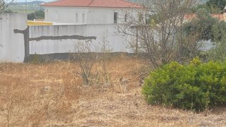 Land for sale in São Brás de Alportel, Portugal — €170,000