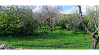 Land for sale in Loulé, Portugal — €56,500