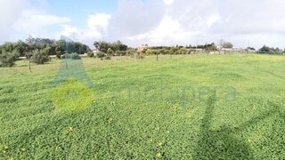 Terreno para venda em Silves, Portugal — 55 000 €