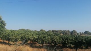 Land for sale in Loulé, Portugal — €250,000