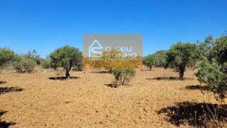 Terreno em São Brás de Alportel