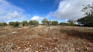 Land for sale in São Brás de Alportel, Portugal — €89,500