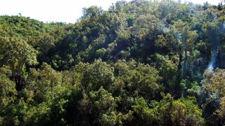 Land for sale in Silves, Portugal — €100,000