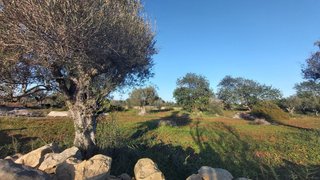 Land for sale in Albufeira, Portugal — €80,000