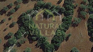 Terreno de 1600 m² em Faro