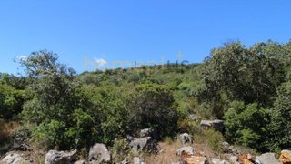 Land for sale in São Brás de Alportel, Portugal — €35,000