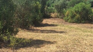 Land for sale in Alcoutim, Portugal — €23,500