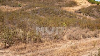 Land for sale in Abrantes, Portugal — €30,000