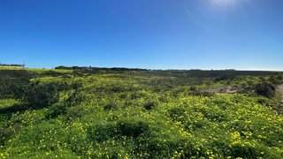 Land for sale in Vila do Bispo, Portugal — €85,000