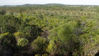 Terreno para venda em Albufeira, Portugal — 37 000 €