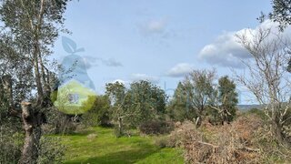 Land for sale in Albufeira, Portugal — €20,000