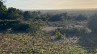 Land for sale in Loulé, Portugal — €68,900