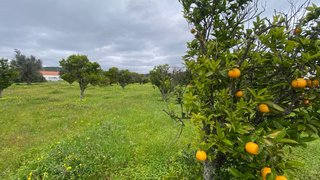 Land for sale in Lagos, Portugal — €95,000