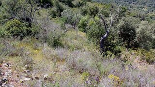 Land for sale in Albufeira, Portugal — €38,000