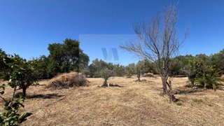 Land for sale in Loulé, Portugal — €320,000