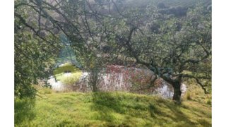 Land for sale in Loulé, Portugal — €167,000