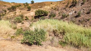 Terreno de 90 m² em Abrantes