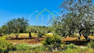 Land for sale in Loulé, Portugal — €59,500