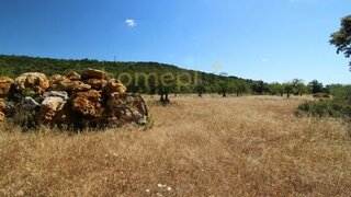 Land for sale in São Brás de Alportel, Portugal — €58,000