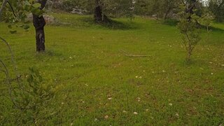 Land for sale in Albufeira, Portugal — €70,000
