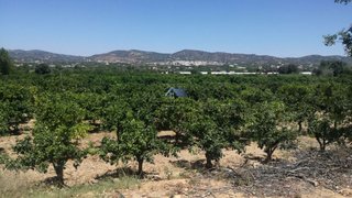 Land for sale in Faro, Portugal — €215,000