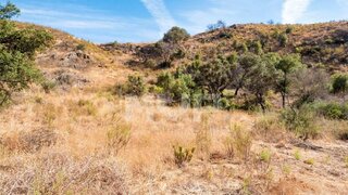 Land for sale in Abrantes, Portugal — €18,000