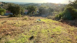 Terreno de 6400 m² em Faro