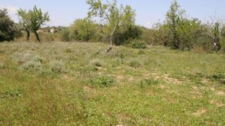 Land for sale in Loulé, Portugal — €49,500