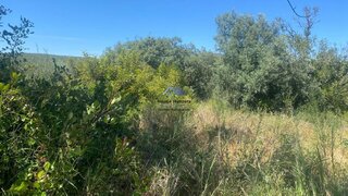 Land for sale in Loulé, Portugal — €18,000
