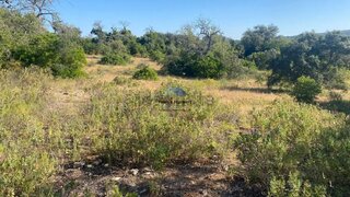 Land for sale in Loulé, Portugal — €50,000