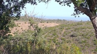 Land for sale in São Brás de Alportel, Portugal — €144,500