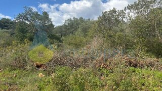 Terreno para venda em Monchique, Portugal — 49 000 €